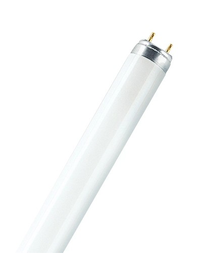 150cm osram g13 lumilux - 150cm,