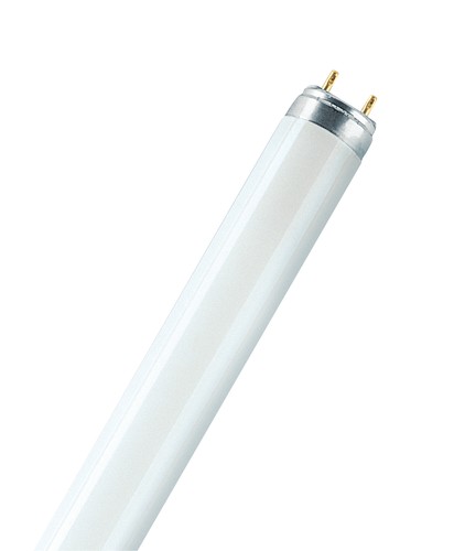 Osram lumilux - lumilux, t8