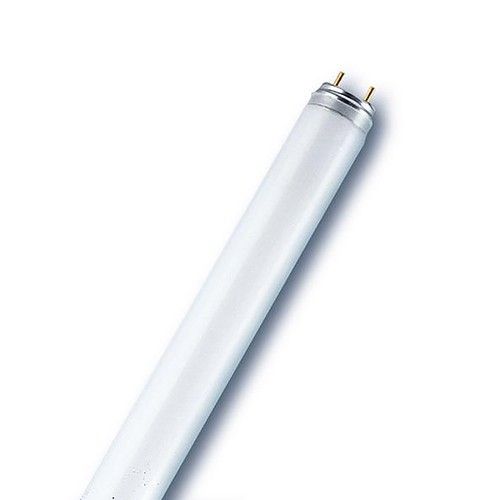 Radium leuchtstofflampe - leuchtstofflampe, t8